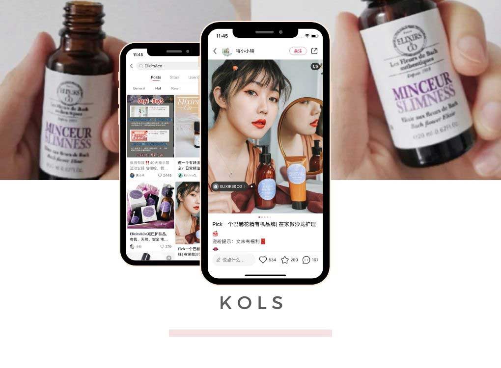 Korean cosmetics in China: KOLs
