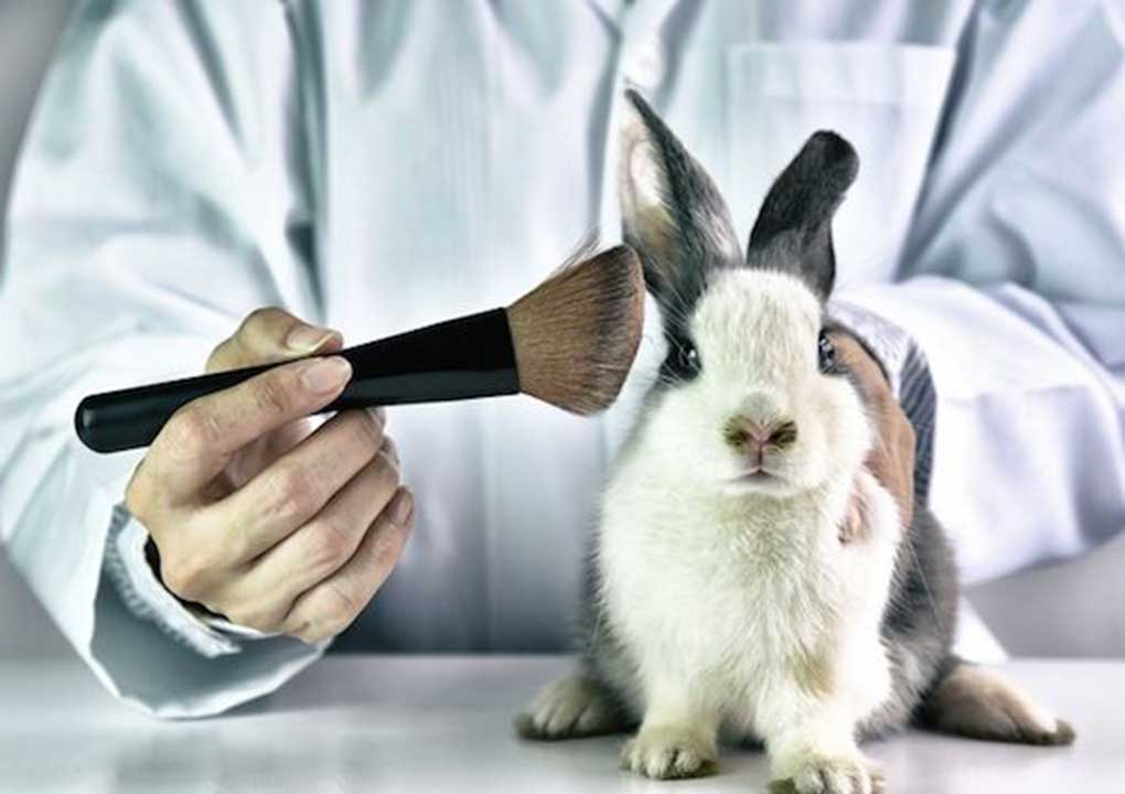 Animal-Testing-China-Abandonment